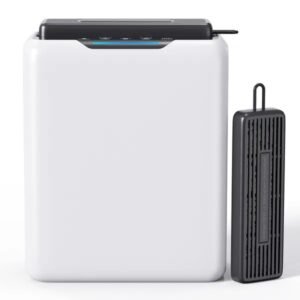 3L Dehumidifier, Electric Dehumidifier For 20m2 Home, Dual Peltier Technology, 30dB Ultra Quiet For Bedroom, Intelligent Defrost, 24H Timer